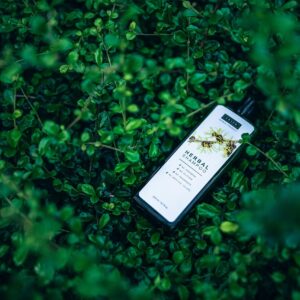 botanical, aromatic, beauty, bottle, brand, care, green, hair, herbal, leaves, natural, object, plants, product, shampoo, soft, nature, transparent